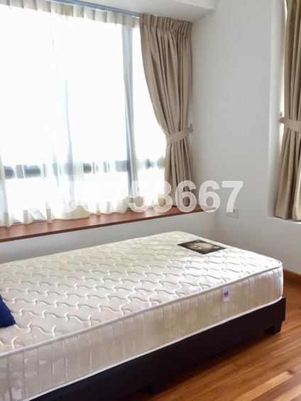 Ascentia Sky (D3), Condominium #155620782